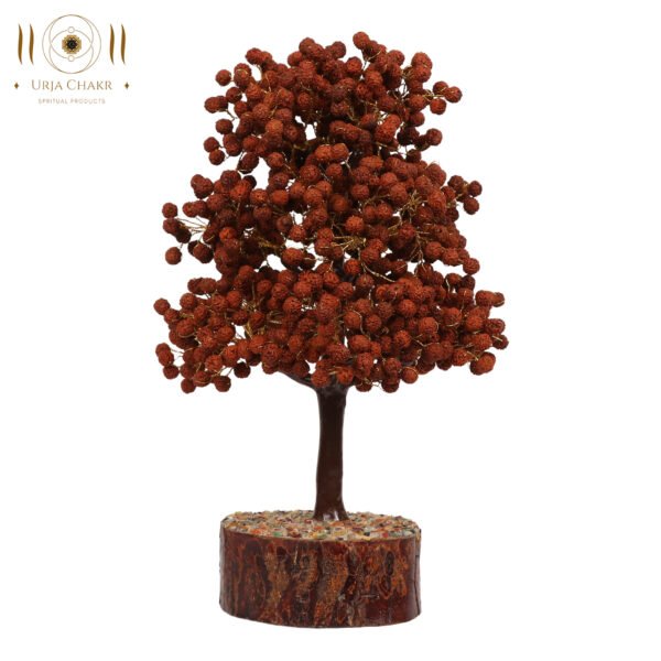 Rudraksh Tree - For a Peaceful Home