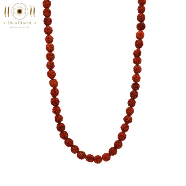 Authentic Rudraksh Mala