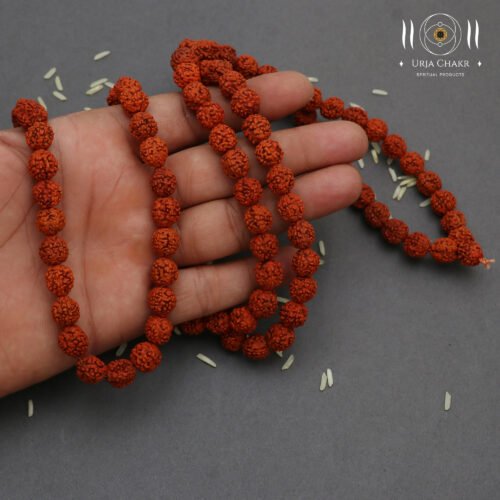 Authentic Rudraksh Mala